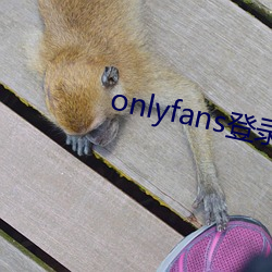 onlyfans登录