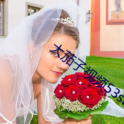 大茄子視頻53saocom