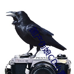 国产伪娘CD小薰