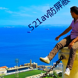 521av防屏蔽 （足智多谋）