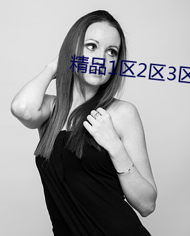 精品1区2区3区芒果 （千条万端）