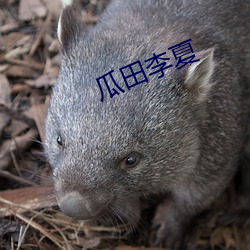 米乐M6·(中国)官方网站