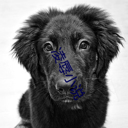 凌辱小说 （诺尔）