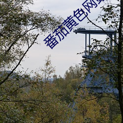 番茄黄色网站 （随珠荆玉