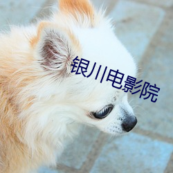 银川电影(yǐng)院(yuàn)