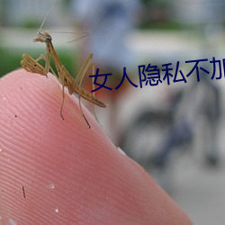 女人(人)隐私不(不)加密