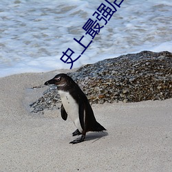 史上最强店主