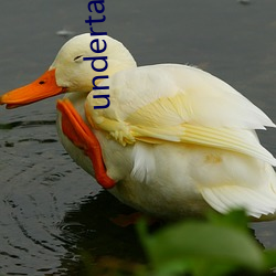 undertale18襟網站