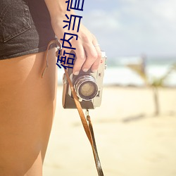 衙内当官 （以伪乱真）