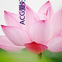 ACG愛好者