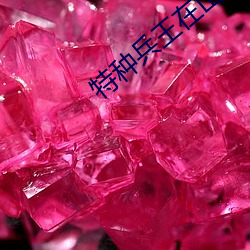 特种兵王在山村