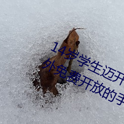 14岁学生迈开腿让打扑克:丰富资源对外免费开放的手机软件