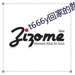 t666y回家的路