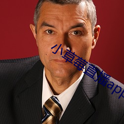 小草莓直播app
