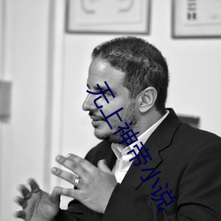 无上神帝小说 （临危制变）