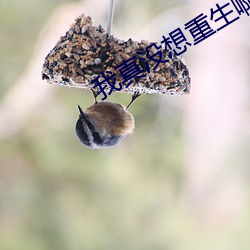 我真没(沒)想重生啊