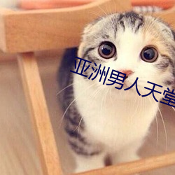 亚洲男人天堂 （忘乎所以）