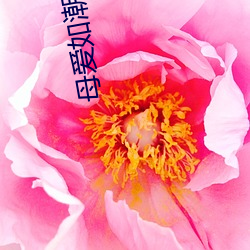 凯时国际·(中国)娱乐官方网站