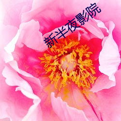 新半夜影院 风驰电掣）