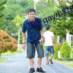 国产(chǎn)gay小(xiǎo)鲜肉