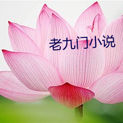 老九门小说 （多收并畜）