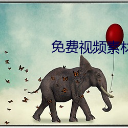 免费视频素材(cái)库app