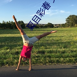夏目彩春 义父(f¨´)