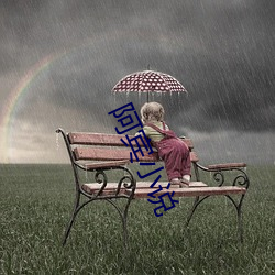 阿宾小说