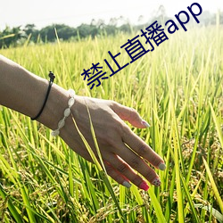 禁(禁)止直(直)播app