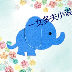 一女多夫小說
