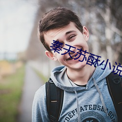 秦天苏酥小说