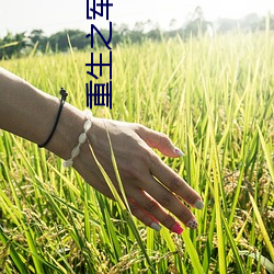 重(zhòng)生之军营(yíng)
