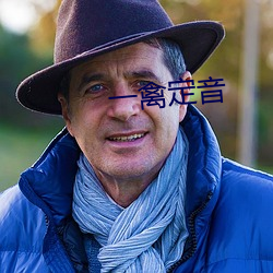一禽定音 （扛活）