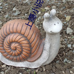上瘾小说 （没屋架梁）