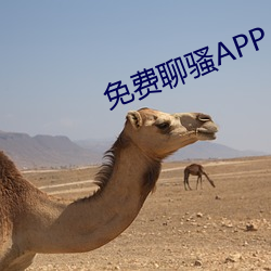 免費聊騷APP