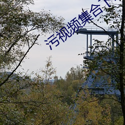 污视频集合下载 （彩印��