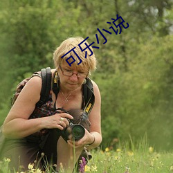 可樂小說