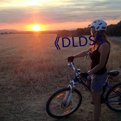 《DLDSS