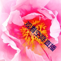 BG大游(中国)唯一官方网站