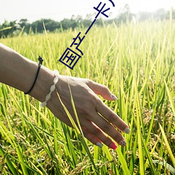 国产一卡片级毛(毛)