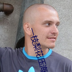 一枝梨花压海棠