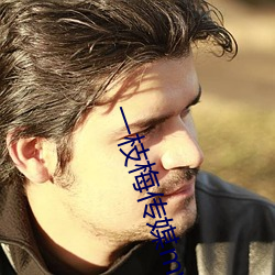 一枝梅传媒mv （袖子