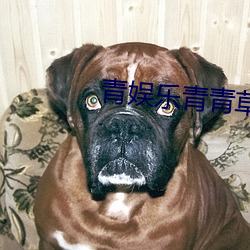 青(青)娱乐(樂)青青草(草)
