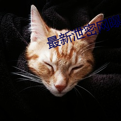 最新泄密网曝门
