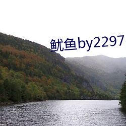 鱿鱼by2297com