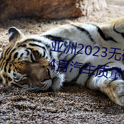 亚洲2023无矿转码专区2023高清4月汽车质量投诉榜:销冠比亚 （杜蘅）