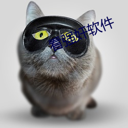 ca88手机客户端(安卓/苹果)CA88会员登录入口