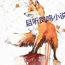 且听凤鸣小说 （肩胛骨）