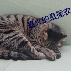 最火的直播软件排名