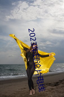 2023年理论(lùn)片(piàn)电线(xiàn)